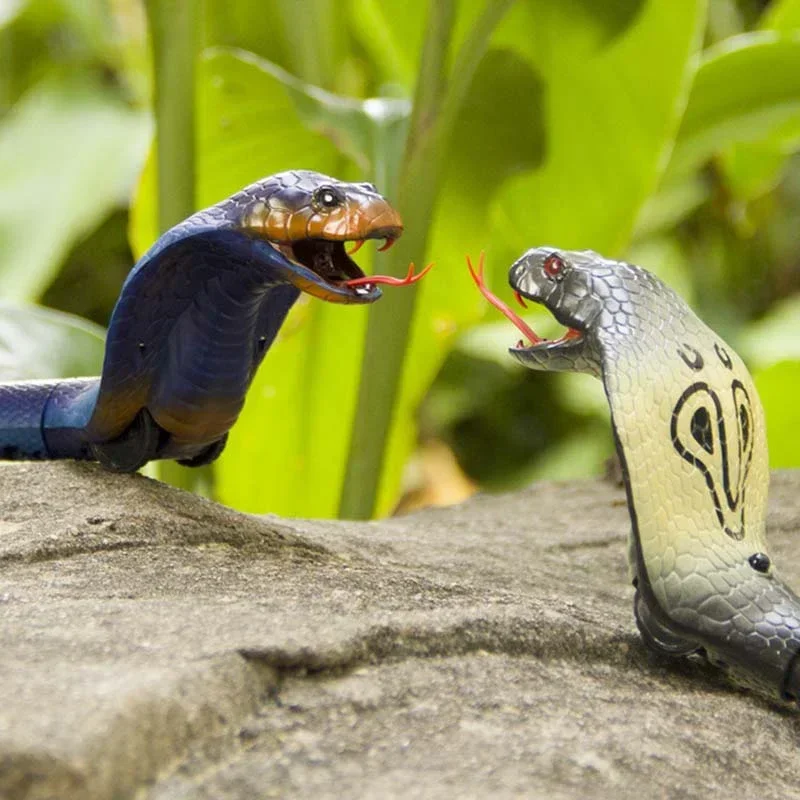 RC Snake Realistic Snake Toys  - đánh giá và giá Ir Infrared Receiver